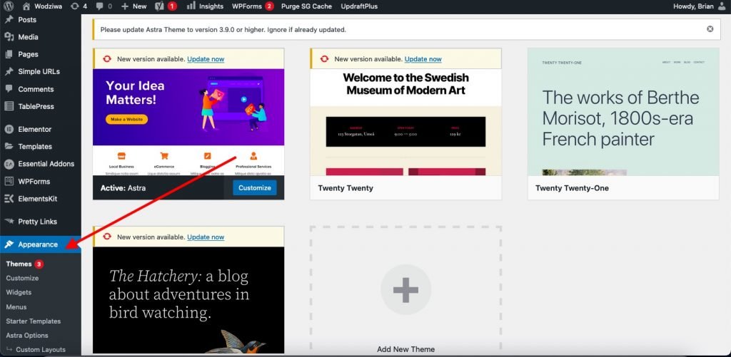 screenshot showing wordpress dashboard and how to install a theme to start a blog