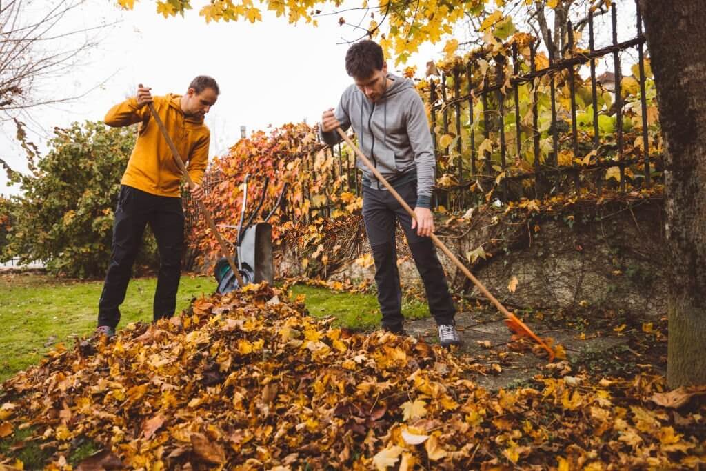 Two men removing leaves as one of the easiest businesses to start