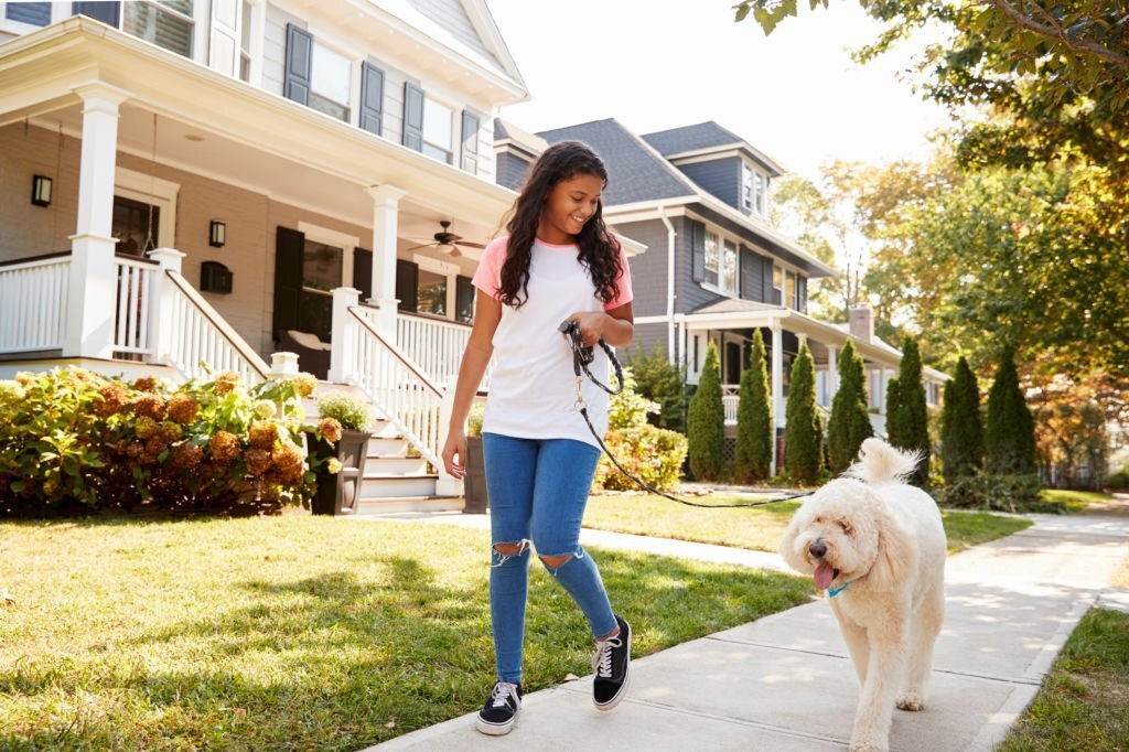 girl child walking a dog illustrating dog walking services as one of the business ideas for 12 year olds